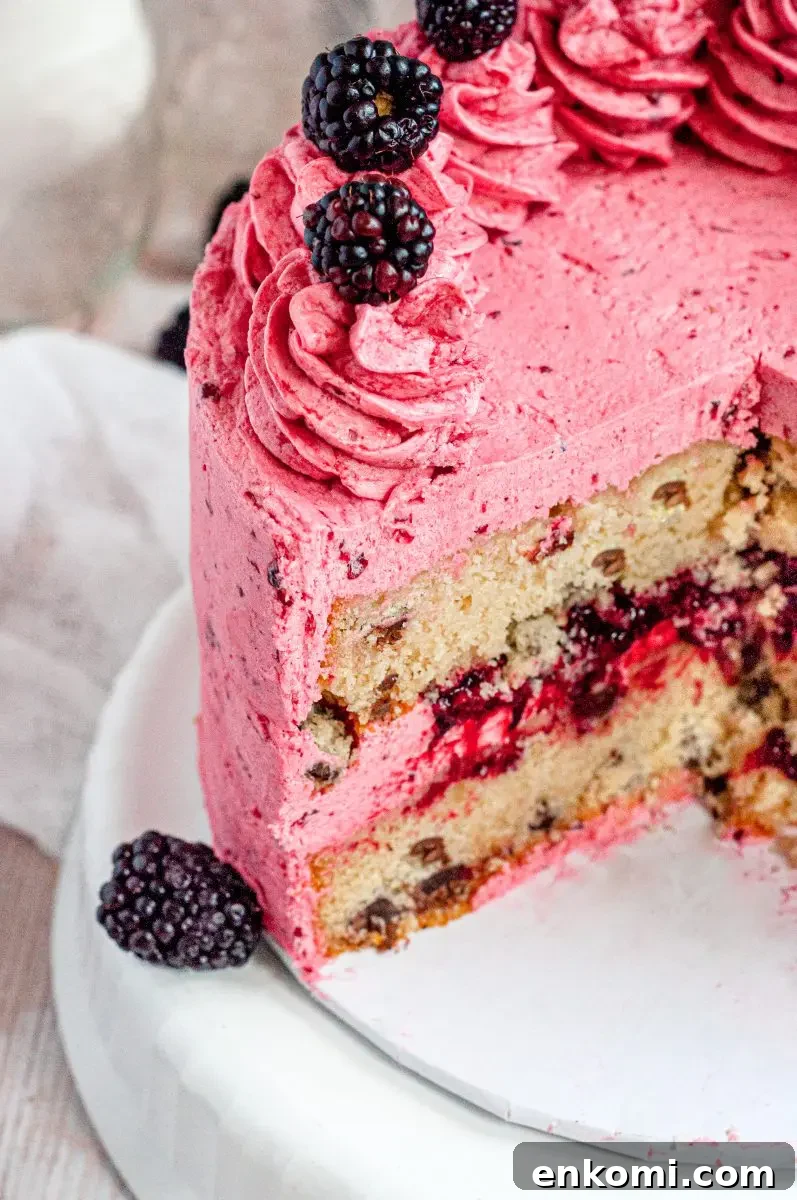 Gluten-Free Honey & Blackberry Cake — Dairy-Free Summer Dessert 3 A bright pink gluten-free frosted honey blackberry cake topped with frosting swirls and fresh blackberries.
