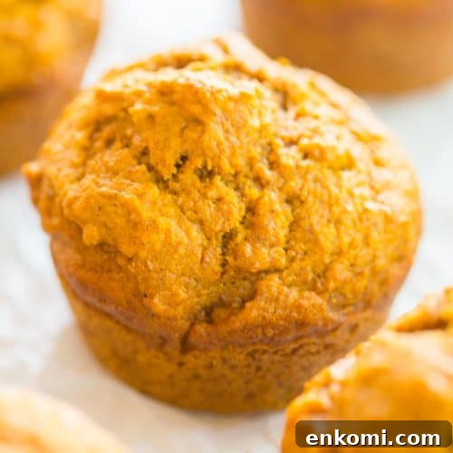 Healthy Pumpkin Muffins