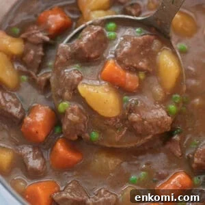 close up shot of beef stew being scooped with silver ladle