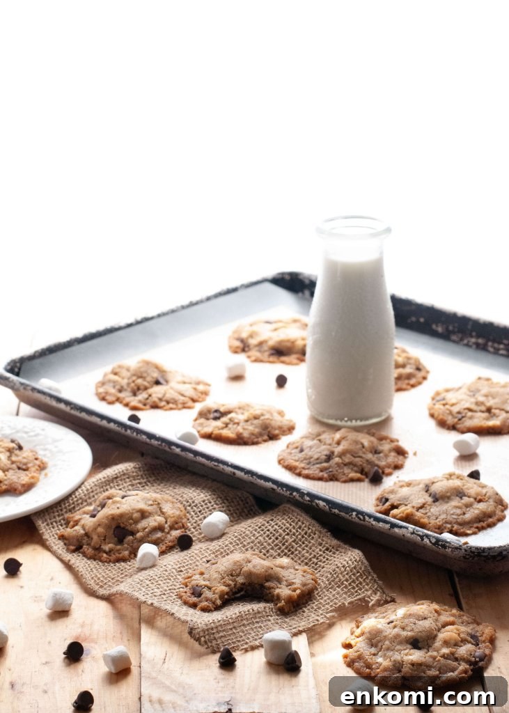 S'mores Cookie Recipe: Gluten, Dairy, Egg and Nut Free (Video) 2 gluten-free-vegan-smores-cookie