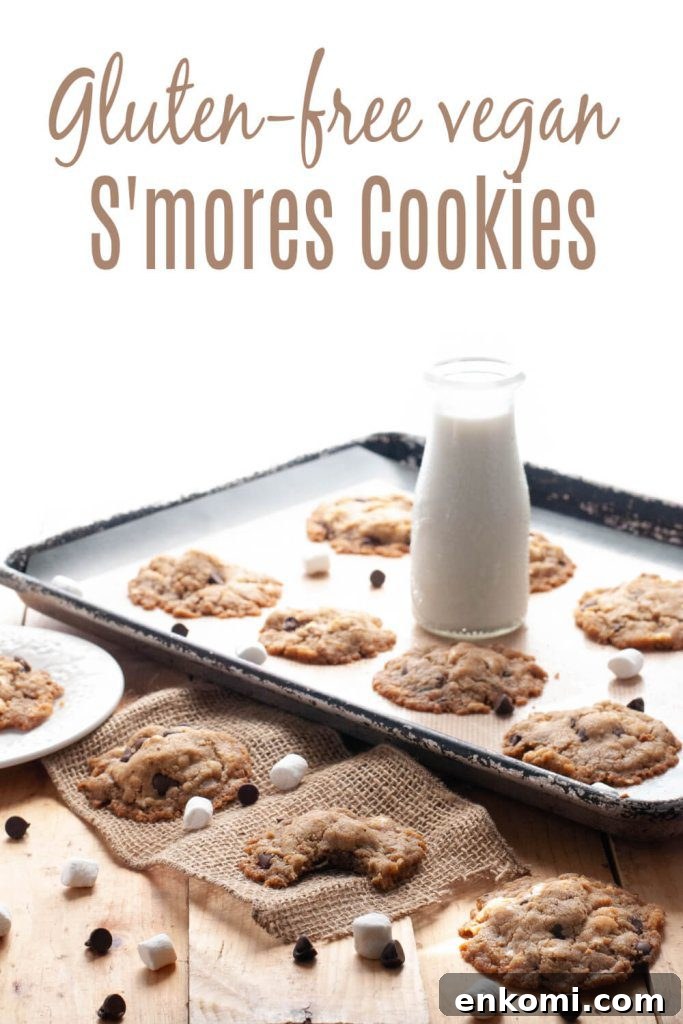 S'mores Cookie Recipe: Gluten, Dairy, Egg and Nut Free (Video) 7 gluten-free-vegan-smore-cookies-by-allergy-awesomeness