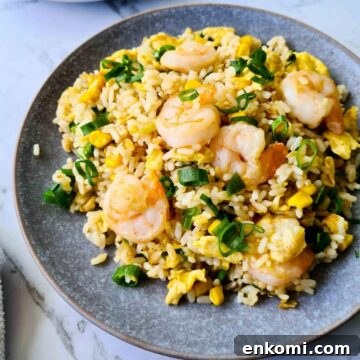 A plate of fried rice