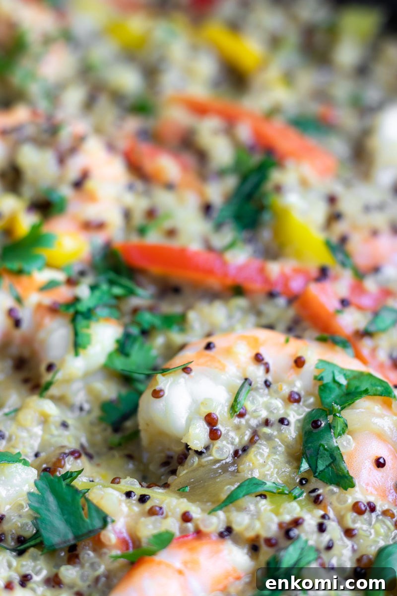Served spicy shrimp and quinoa
