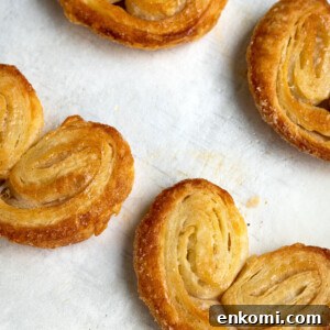 Palmiers close-up