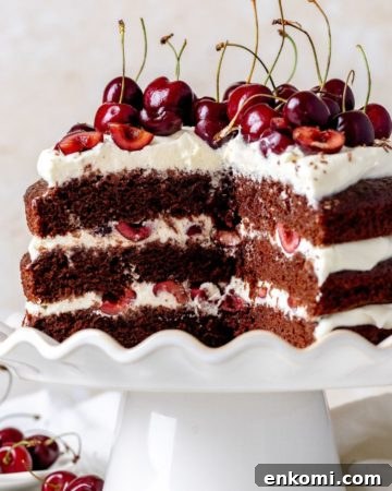 Black Forest Cake