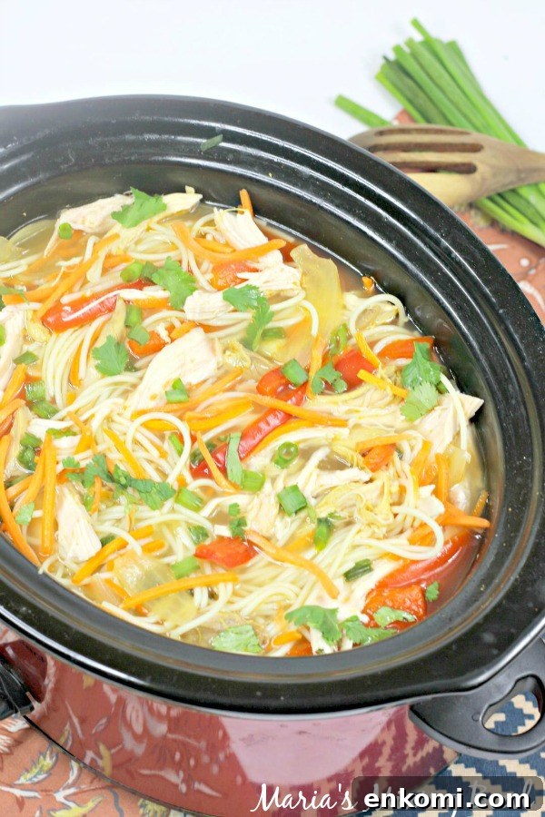 Slow Cooker Asian Chicken Noodle Soup
