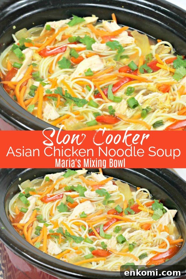 Slow Cooker Asian Chicken Noodle Soup