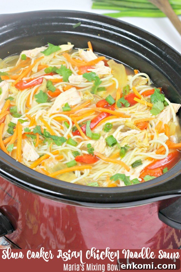 Slow Cooker Asian Chicken Noodle Soup