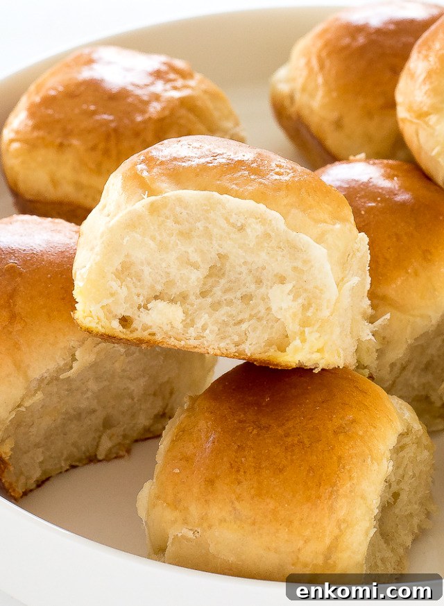 Dinner Rolls