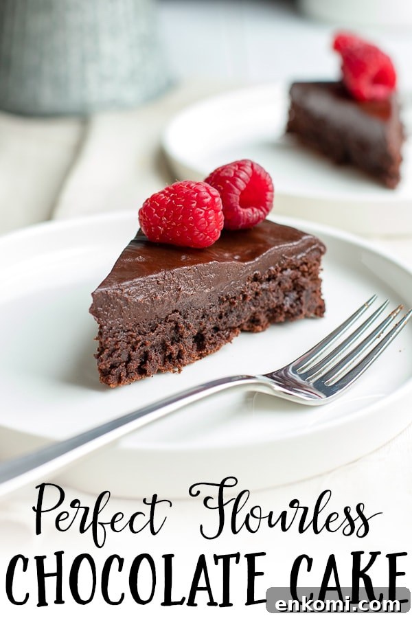 Decadent Flourless Chocolate Cake Recipe 7 A fudgy, rich chocolate cake that is naturally gluten-free. Make this by hand in one bowl, then top with the easiest chocolate ganache (just chocolate and cream!) and fresh fruit for an impressive party dessert! #chocolatecake #glutenfree #glutenfreedessert #flourless