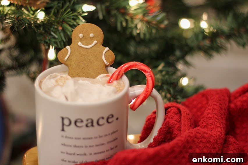 Creamy Gluten- and Dairy-Free Hot Chocolate Recipe 2 gluten and dairy free hot chocolate