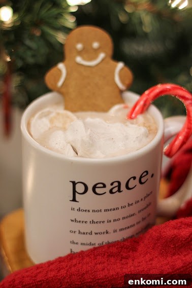 Creamy Gluten- and Dairy-Free Hot Chocolate Recipe 3 img 18307 2