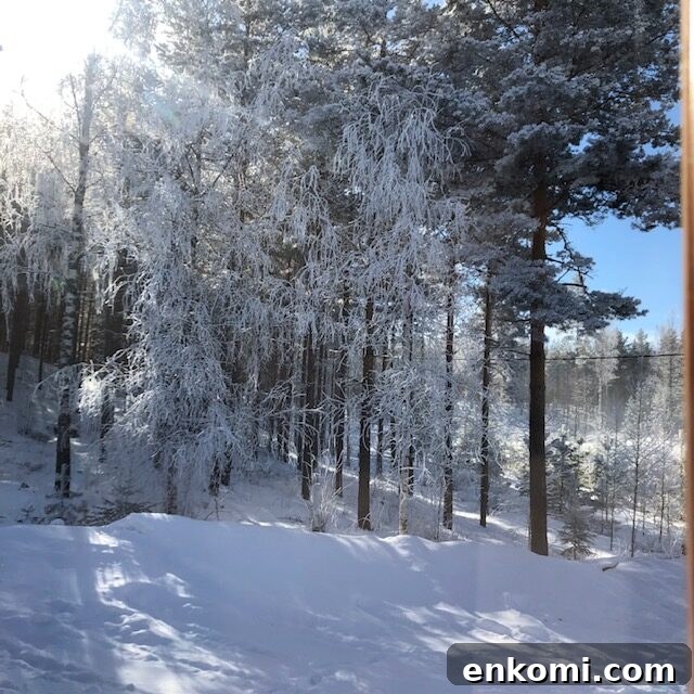 Winter in Finland