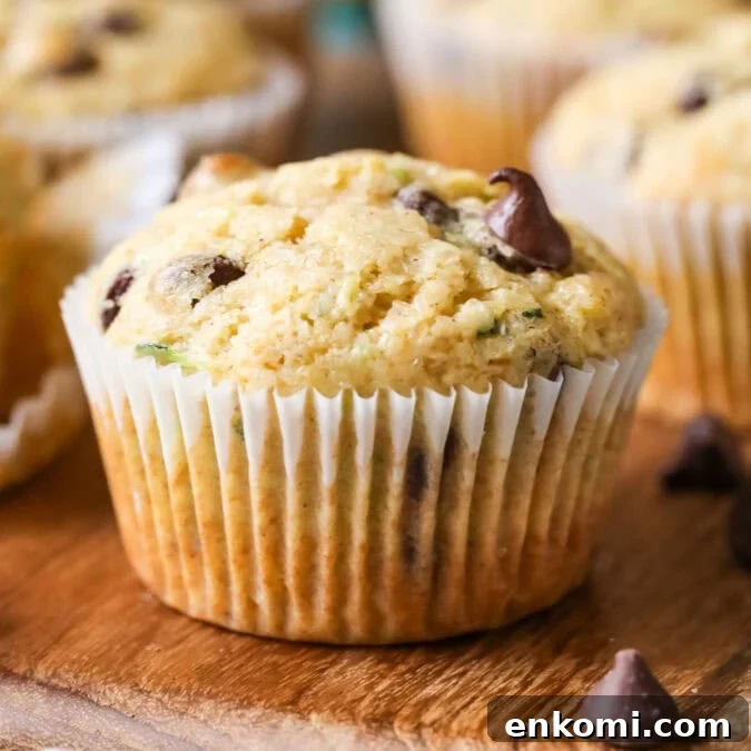 30 Muffin Recipes: Sweet, Savory & Seasonal Ideas 12 Close-up view of a chocolate chip zucchini muffin.