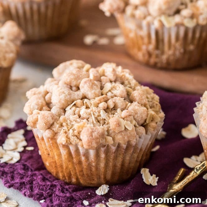 30 Muffin Recipes: Sweet, Savory & Seasonal Ideas 22 Oatmeal muffin