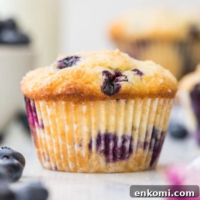 30 Muffin Recipes: Sweet, Savory & Seasonal Ideas 6 blueberry muffin on white marble