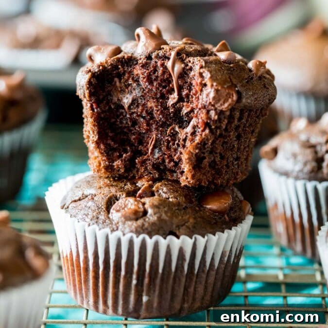 30 Muffin Recipes: Sweet, Savory & Seasonal Ideas 9 Two double chocolate muffins stacked on top of each other with the top muffin missing a bite.