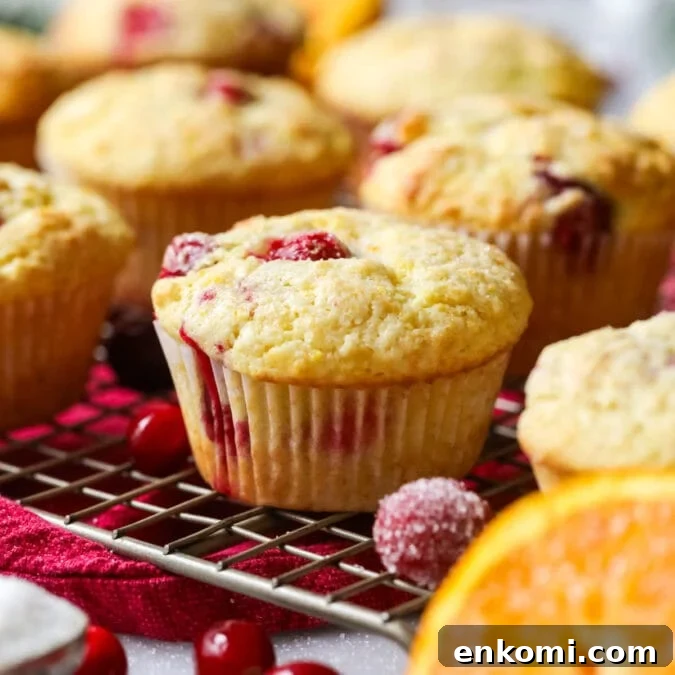 30 Muffin Recipes: Sweet, Savory & Seasonal Ideas 10 Cranberry orange muffins on a cooling rack.